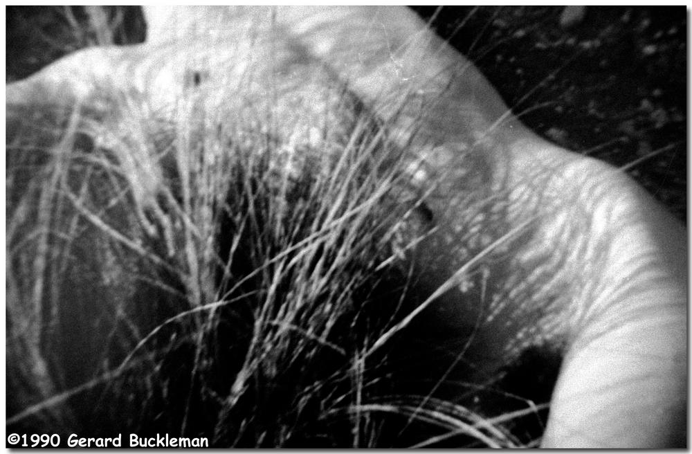 ©Buckleman Photography\nDonna & Gerard Buckleman\nreprints available\ngerard@bucklemanphotography.com\nwww.bucklemanphotography.com